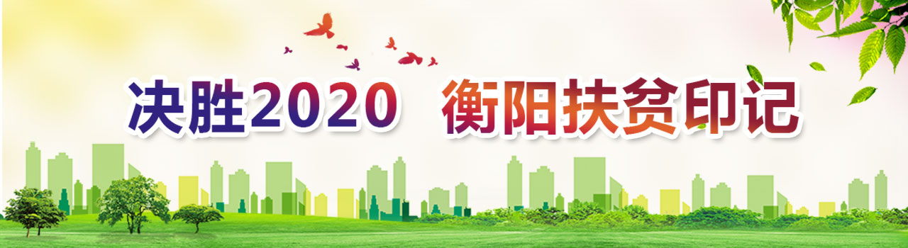 決勝2020-衡陽扶貧印記